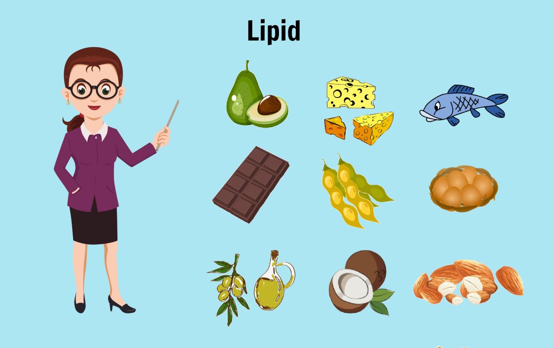 Lipid • Kiến thức dinh dưỡng || Kienthuctieuduong.vn