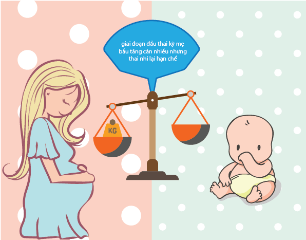 Đặc trưng cơ bản của chuyển hóa glucose tác động đến cân nặng của mẹ và bé 2