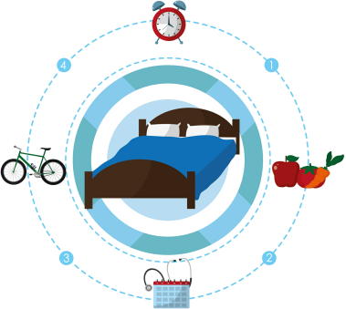 Ngủ trưa dài làm tăng nguy cơ béo phì, hội chứng chuyển hóa và tiểu đường - 2